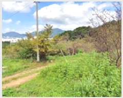  2025Ÿ��11976  ���������