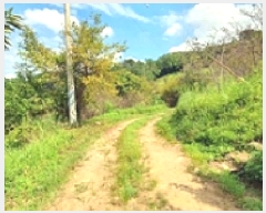  2025Ÿ��11976  ���������