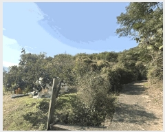  2025Ÿ��12317 �泲 ���ؽ� ������ �ſ븮 426      ����(������)���