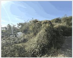  2025Ÿ��12317 �泲 ���ؽ� ������ �ſ븮 426      ����(������)���