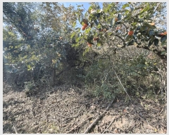  2025Ÿ��12317 �泲 ���ؽ� ������ �ſ븮 426      ����(������)���