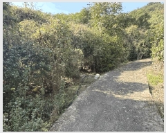  2025Ÿ��12317 �泲 ���ؽ� ������ �ſ븮 426      ����(������)���