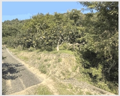  2025Ÿ��12317 �泲 ���ؽ� ������ �ſ븮 426      ����(������)���