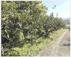  2025Ÿ��12317 �泲 ���ؽ� ������ �ſ븮 426      ����(������)���