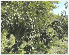  2025Ÿ��12317 �泲 ���ؽ� ������ �ſ븮 426      ����(������)���