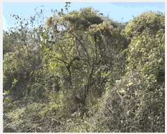  2025Ÿ��12317 �泲 ���ؽ� ������ �ſ븮 426      ����(������)���