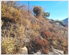  2025Ÿ��71  �����