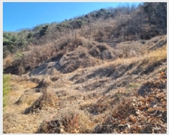  2025Ÿ170 泲 â â ϸ ܻ긮 1488-1     ()