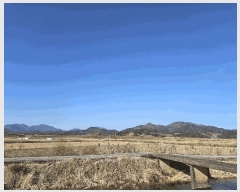  2025Ÿ��255 �泲 â���� ��â�� ���� ������ 1427     ����(��)���