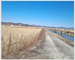  2025Ÿ��255 �泲 â���� ��â�� ���� ������ 1427     ����(��)���