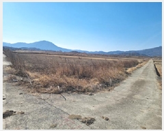  2025Ÿ��255 �泲 â���� ��â�� ���� ������ 1427     ����(��)���