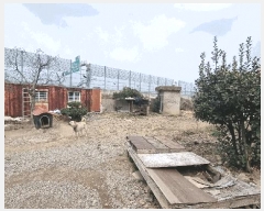  2025Ÿ��370  �������