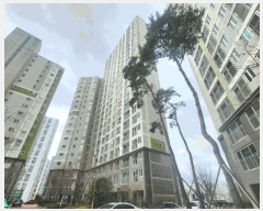  2025Ÿ��389 �泲 ���ؽ� �ܵ� 1427 ���ؿܵ������þ� 113�� 7��702ȣ    ����Ʈ���