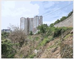  2025Ÿ��463 �泲 ���ؽ� ������ 510       ����(��1)���