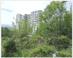  2025Ÿ��463 �泲 ���ؽ� ������ 510       ����(��1)���