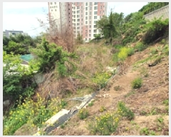  2025Ÿ��463 �泲 ���ؽ� ������ 510       ����(��1)���