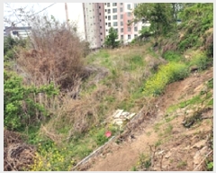  2025Ÿ��463 �泲 ���ؽ� ������ 510       ����(��1)���