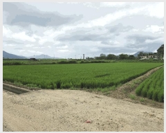  2025Ÿ��598 �泲 ���ؽ� ������ ���縮 1605      ����(��)���