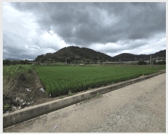  2025Ÿ��598 �泲 ���ؽ� ������ ���縮 1605      ����(��)���