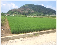  2025Ÿ��598 �泲 ���ؽ� ������ ���縮 1605      ����(��)���