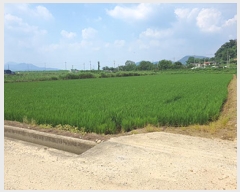  2025Ÿ��598 �泲 ���ؽ� ������ ���縮 1605      ����(��)���