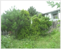  2025Ÿ��658 �泲 â���� ���ر� ���µ� 462-7      ����(����)���