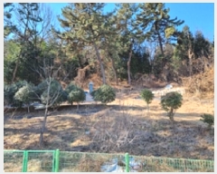  2025Ÿ10320 泲 â â ݰ赿 40      (Ӿ)