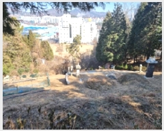  2025Ÿ10320 泲 â â ݰ赿 40      (Ӿ)