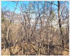  2025Ÿ10320 泲 â â ݰ赿 40      (Ӿ)