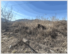  2025Ÿ��10979 �泲 ���ؽ� ������ ������ 1079-12      ����(����)���