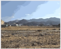  2025Ÿ��11054 �泲 ���ؽ� ������ ������ 588      ����(��)���