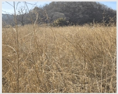  2025Ÿ��11054 �泲 ���ؽ� ������ ������ 588      ����(��)���