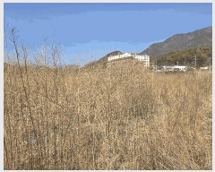  2025Ÿ��11054 �泲 ���ؽ� ������ ������ 588      ����(��)���