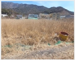  2025Ÿ��11054 �泲 ���ؽ� ������ ������ 588      ����(��)���