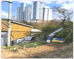  2025Ÿ��11233  �ٸ��ü����