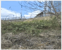  2025Ÿ��11233  �ٸ��ü����