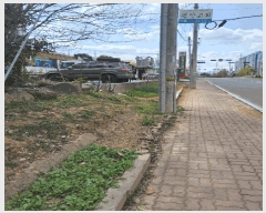  2025Ÿ��11233  �ٸ��ü����