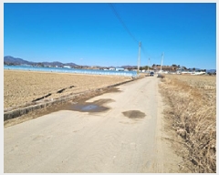  2025Ÿ��88  ����