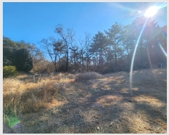  2025Ÿ��10009 �泲 ���ؽ� �Ѹ��� ��õ�� ��169-4      ����(�Ӿ�)���