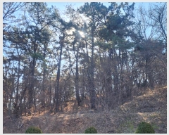  2025Ÿ��10009 �泲 ���ؽ� �Ѹ��� ��õ�� ��169-4      ����(�Ӿ�)���