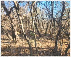  2025Ÿ��10009 �泲 ���ؽ� �Ѹ��� ��õ�� ��169-4      ����(�Ӿ�)���