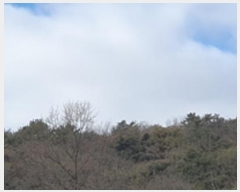  2025Ÿ��10009 �泲 ���ؽ� �Ѹ��� ��õ�� ��169-4      ����(�Ӿ�)���