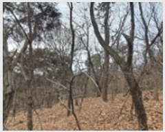  2025Ÿ��10009 �泲 ���ؽ� �Ѹ��� ��õ�� ��169-4      ����(�Ӿ�)���