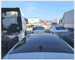  2025Ÿ11843 â 걸  319       