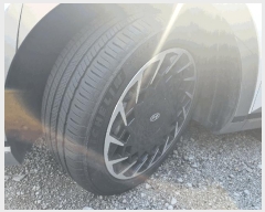  2025Ÿ11843 â 걸  319       