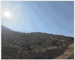  2025Ÿ��194 �泲 â���� ��â�� �ϸ� ��õ�� ��21     ����(��1)���