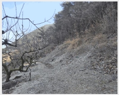  2025Ÿ��194 �泲 â���� ��â�� �ϸ� ��õ�� ��21     ����(��1)���