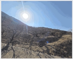  2025Ÿ��194 �泲 â���� ��â�� �ϸ� ��õ�� ��21     ����(��1)���