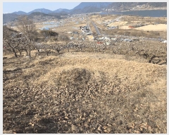  2025Ÿ��194 �泲 â���� ��â�� �ϸ� ��õ�� ��21     ����(��1)���