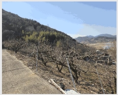  2025Ÿ��194 �泲 â���� ��â�� �ϸ� ��õ�� ��21     ����(��1)���